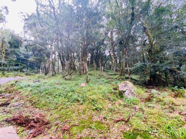 Terreno venda em Região Geográfica Imediata de Caxias do Sul, Canela