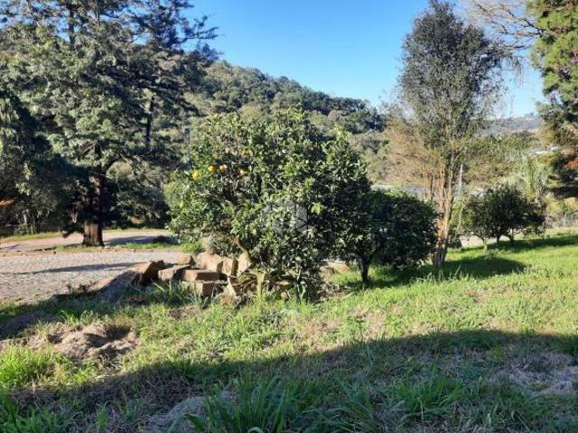Terreno venda em Região Geográfica Imediata de Caxias do Sul, Caxias do Sul