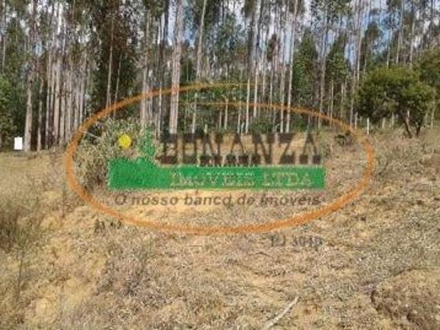 Terreno venda em Região Geográfica Imediata de Conselheiro Lafaiete, Conselheiro Lafaiete