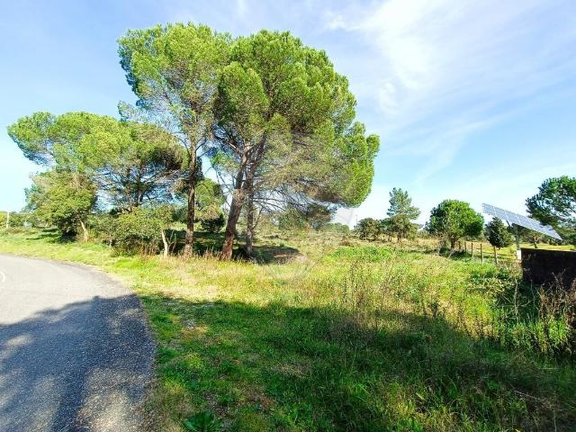 Terreno venda em Constância, Santarém