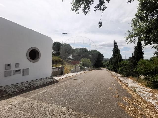 Terreno venda em Constância, Santarém