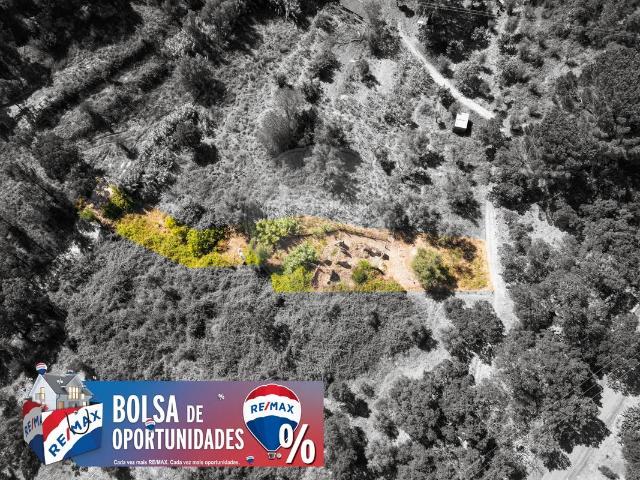 Terreno venda em Constância, Santarém