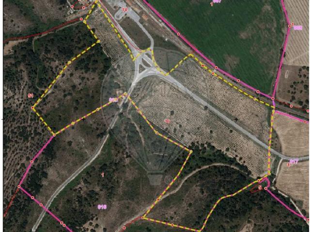 Terreno venda em Constância, Santarém