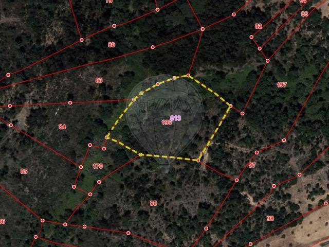 Terreno venda em Constância, Santarém