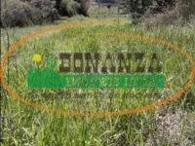Terreno venda em Coronel Xavier Chaves, Região Geográfica Intermediária de Juiz de Fora
