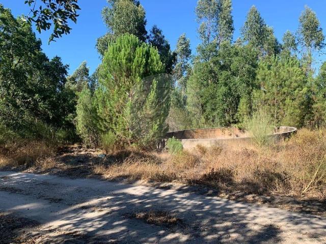 Terreno venda em Retiro da Erra, Coruche