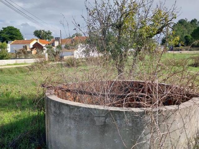 Terreno venda em Coruche, Santarém
