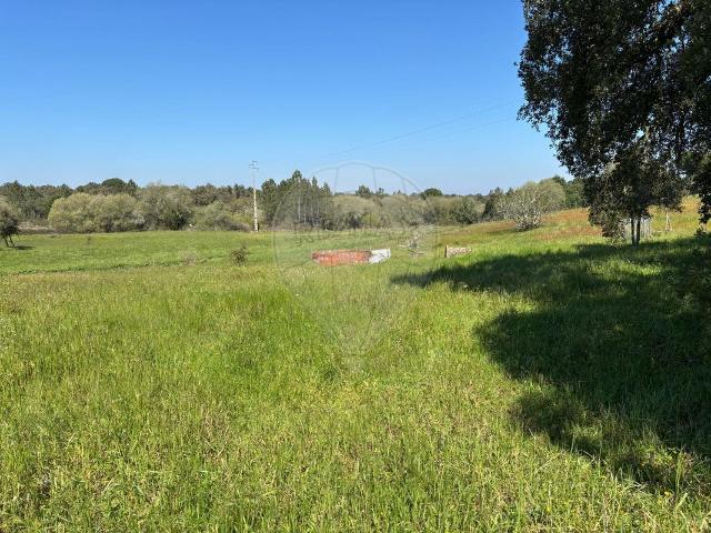 Terreno venda em Coruche, Santarém