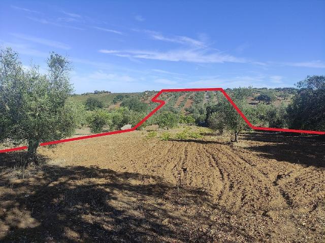 Terreno venda em Corval, Reguengos de Monsaraz