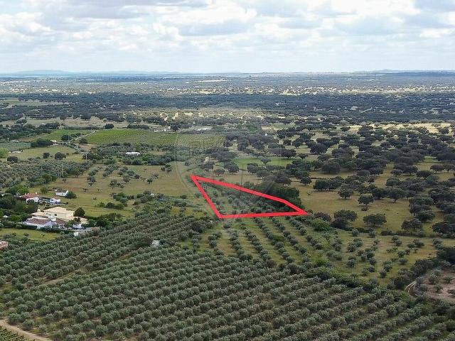 Terreno venda em Cravas, Reguengos de Monsaraz