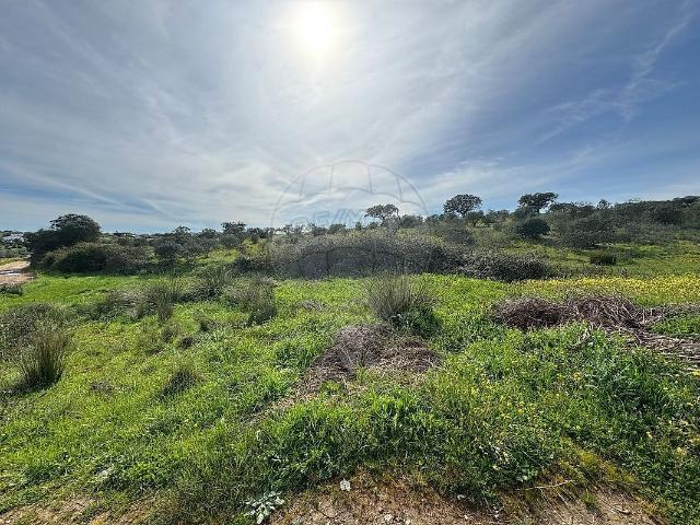 Terreno venda em Altos da Torre, Reguengos de Monsaraz