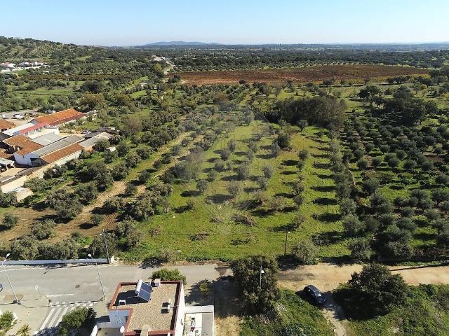 Terreno venda em Sé e São Lourenço, Portalegre