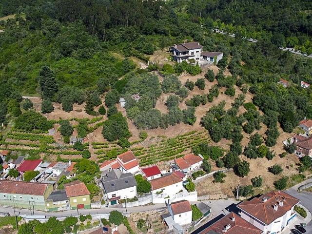 Terreno venda em Coimbrã, Sé Nova