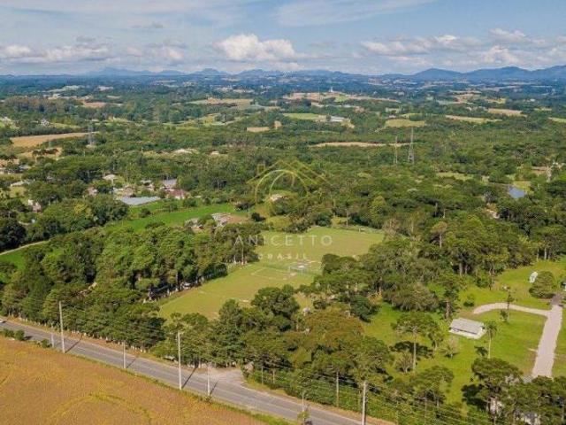 Terreno venda em São José dos Pinhais, Região Geográfica Intermediária de Curitiba