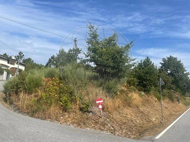 Terreno venda em Cota, Viseu