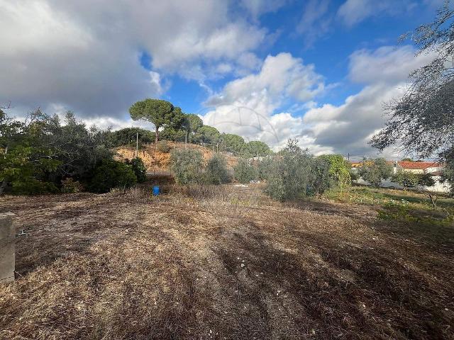 Terreno venda em Herdade da Açorda, Coruche