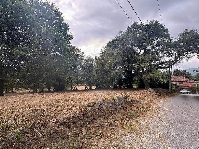 Terreno venda em Coucieiro, Vila Verde