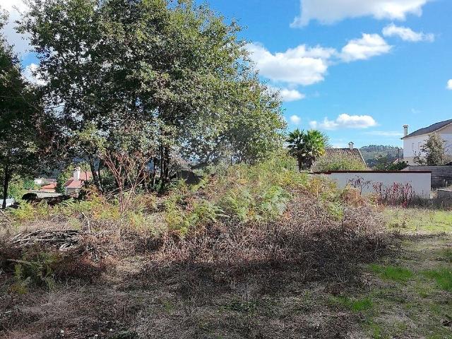 Terreno venda em Coutos de Viseu, Viseu