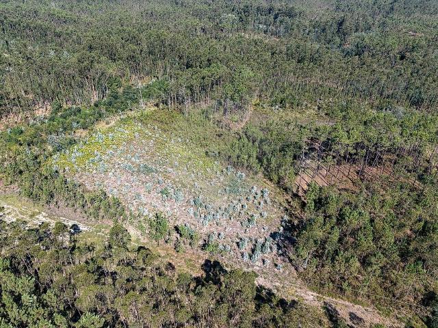 Terreno venda em Covões e Camarneira, Cantanhede