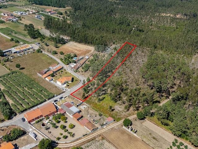 Terreno venda em Covões e Camarneira, Cantanhede