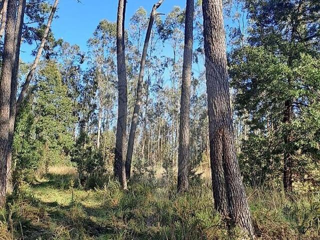 Terreno venda em Covões e Camarneira, Cantanhede