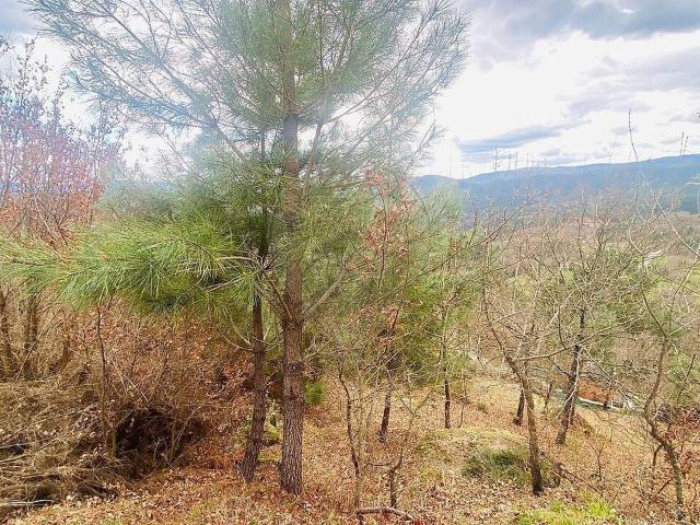 Terreno venda em Covas do Barroso, Boticas