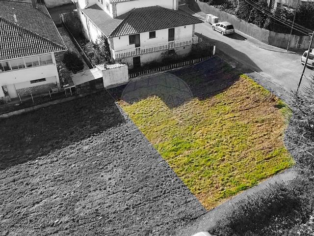 Terreno venda em Castelo Branco