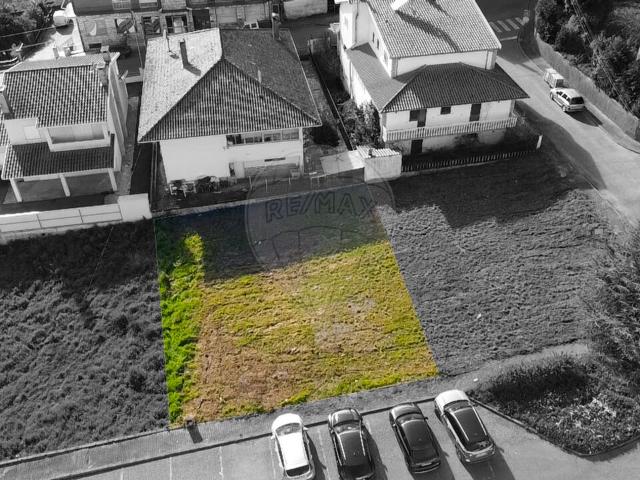 Terreno venda em Castelo Branco