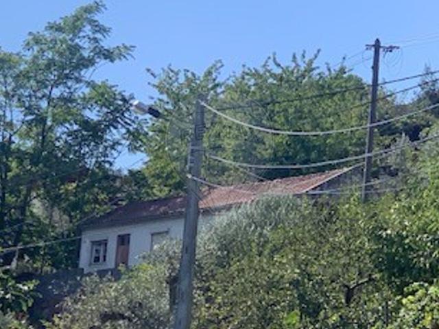 Terreno venda em Castelo Branco