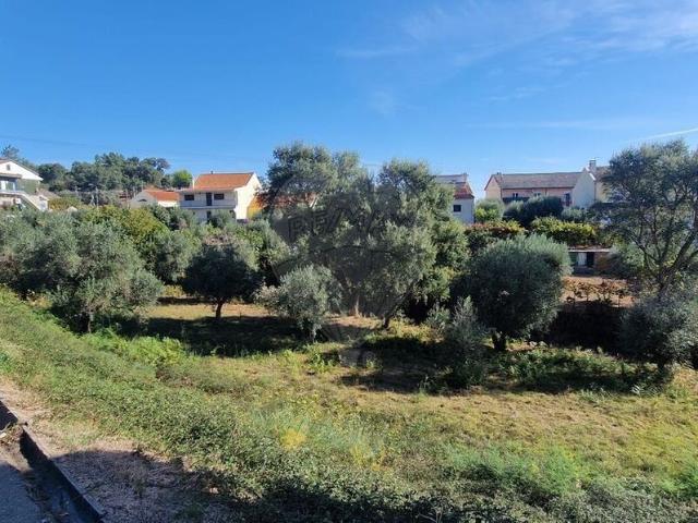 Terreno venda em Castelo Branco, Dominguizo