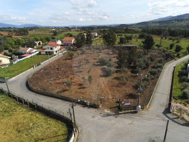 Terreno venda em Castelo Branco, Dominguizo