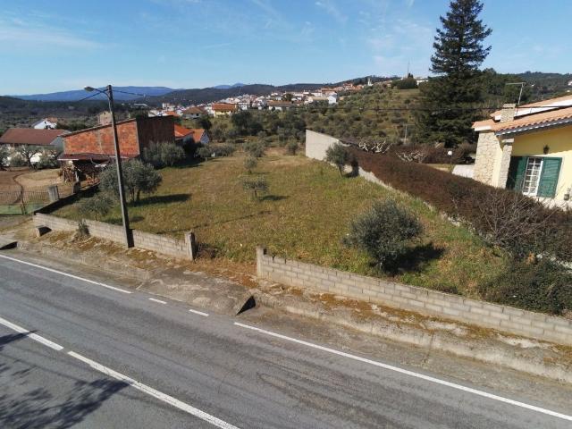 Terreno venda em Castelo Branco