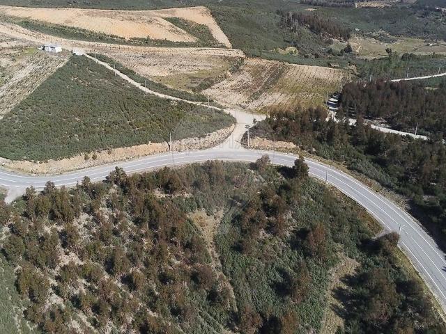 Quinta venda em Castelo Branco