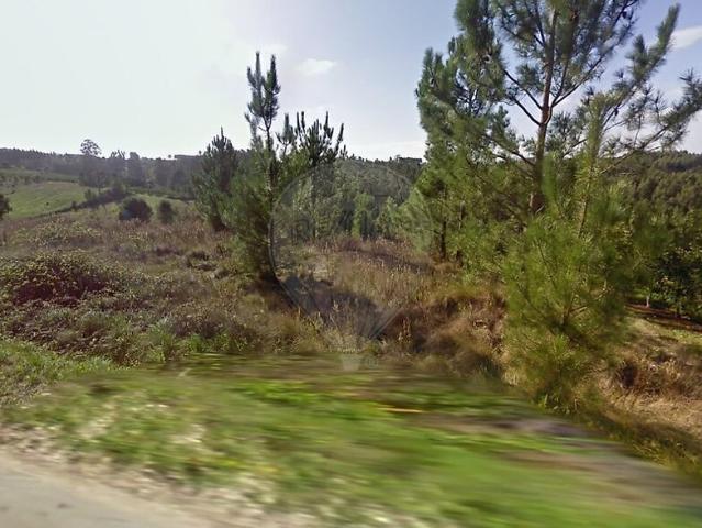 Terreno venda em Coz, Alpedriz e Montes, Alcobaça