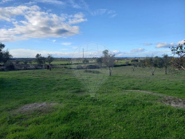 Terreno venda em Crato, Portalegre