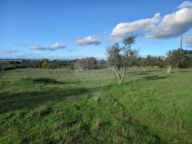 Casa venda em Crato, Portalegre