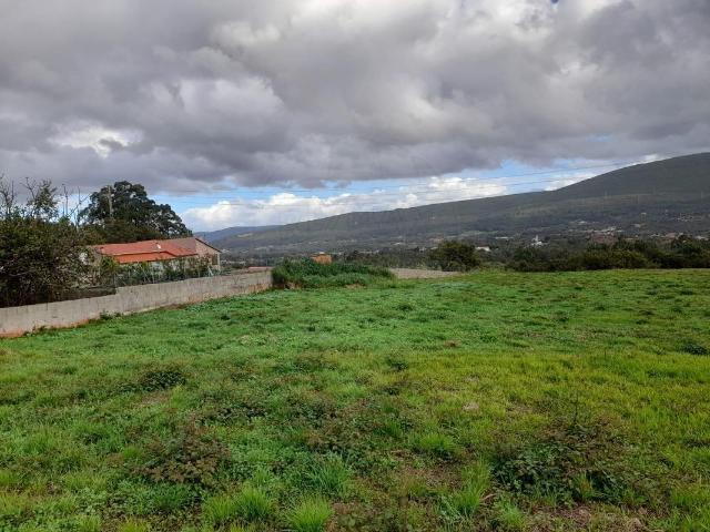 Terreno venda em Juncal, Porto De Mós