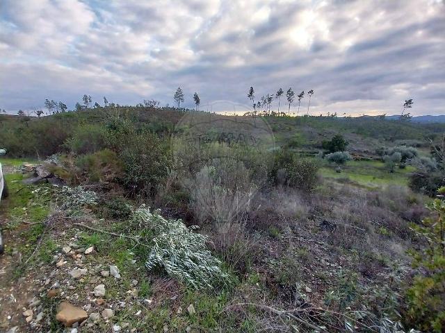 Terreno venda em Cumeada e Marmeleiro, Sertã