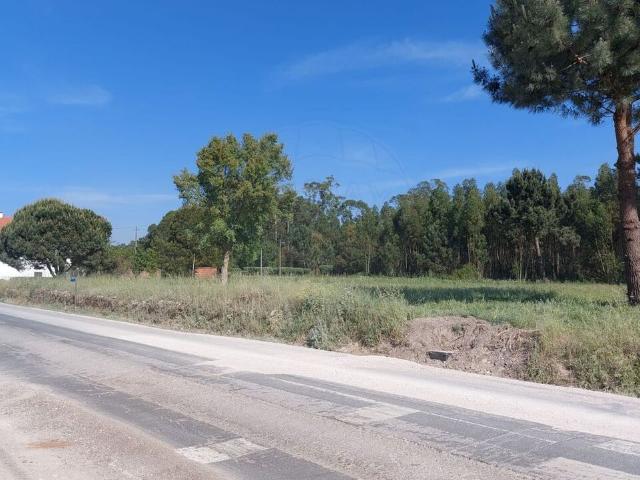 Terreno venda em Juncal, Porto De Mós
