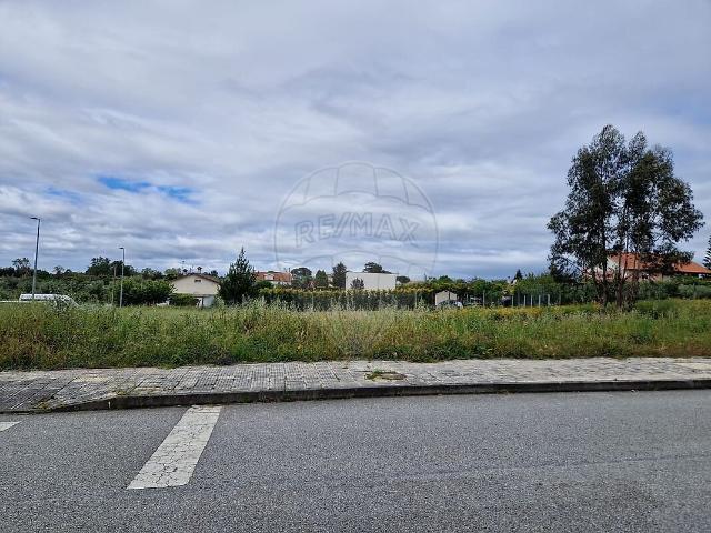 Terreno venda em Carregal do Sal