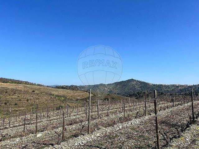 Terreno venda em Custoias, Vila Nova de Foz Côa