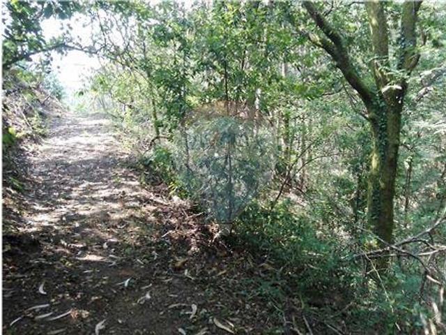 Terreno venda em Destriz e Reigoso, Oliveira de Frades