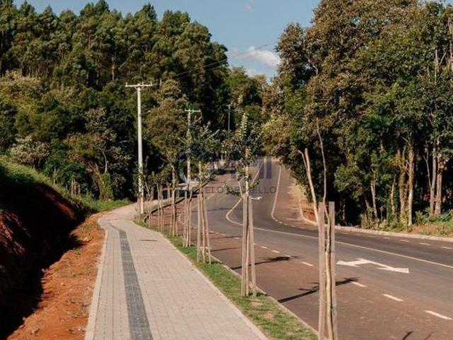 Terreno venda em Região Geográfica Imediata de Novo Hamburgo - São Leopoldo, Região Metropolitana de Porto Alegre