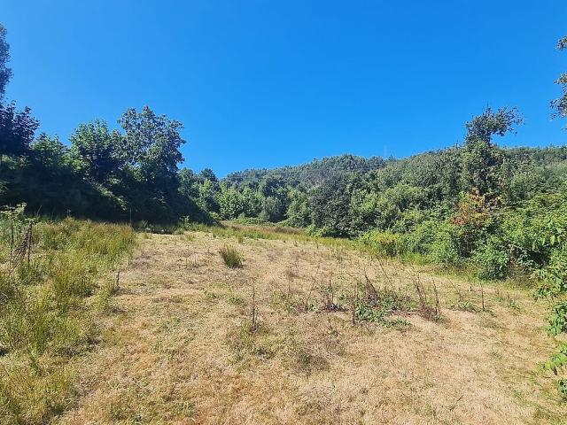 Terreno venda em Dossãos, Vila Verde