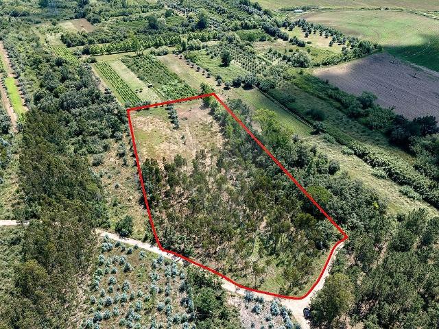 Terreno venda em Condeixa-a-Velha e Condeixa-a-Nova, Condeixa-a-Nova