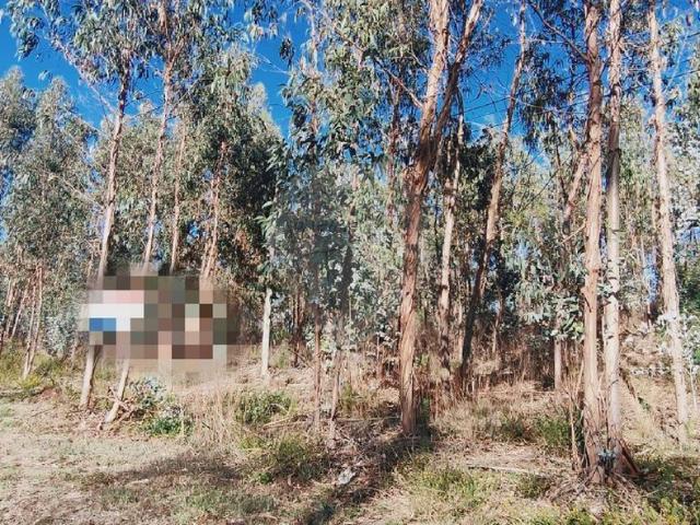 Terreno venda em Ega, Condeixa-a-Nova