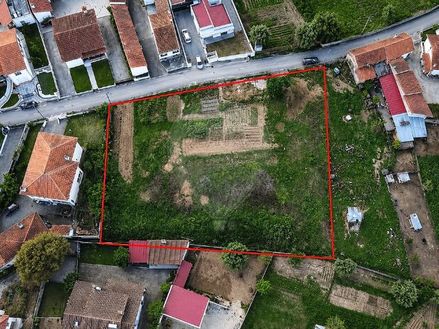 Terreno venda em Ega, Condeixa-a-Nova