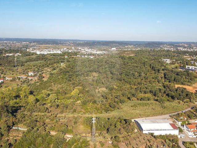 Terreno venda em Eiras e São Paulo de Frades, Coimbra