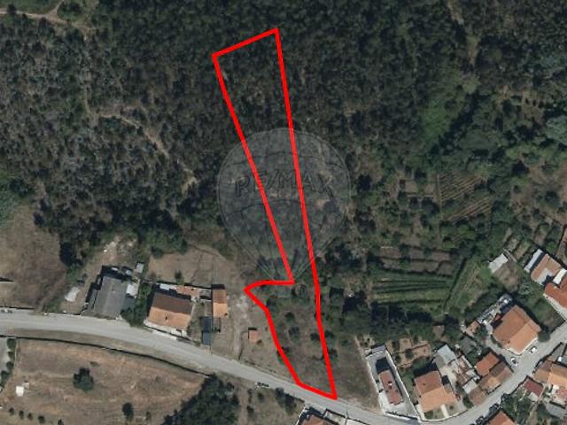 Terreno venda em Eiras e São Paulo de Frades, Coimbra