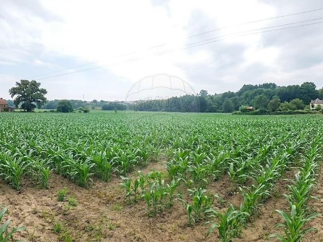 Terreno venda em Eiriz, Porto